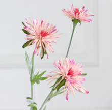 Load image into Gallery viewer, Barberton Daisy Chrysanthemum Silk Simulation Flower - BestVase