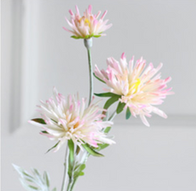 Load image into Gallery viewer, Barberton Daisy Chrysanthemum Silk Simulation Flower - BestVase