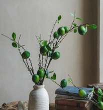 Load image into Gallery viewer, Lemon branch Lime Silk Flower ”Sentimental love“Immature Love"”Green Love - BestVase