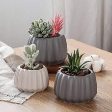 Load image into Gallery viewer, Succulent Plant Pots Squash Pumpkin Style Cute Mini Fleshy Flower Pots - BestVase
