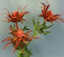 Load image into Gallery viewer, Asterism Silk Flower Artificial Flower Plants Branches Grass Photographic Props Home Decoration American Countryside Style - BestVase