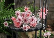 Load image into Gallery viewer, Barberton Daisy Chrysanthemum Silk Simulation Flower - BestVase