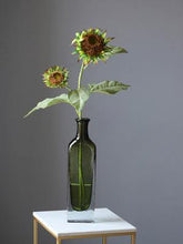 Load image into Gallery viewer, Bright and Shining Glass Vase Clean Pure Transparent - BestVase