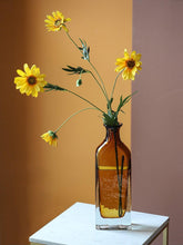 Load image into Gallery viewer, Bright and Shining Glass Vase Clean Pure Transparent - BestVase