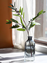 Load image into Gallery viewer, Bright and Shining Glass Vase Clean Pure Transparent - BestVase