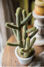 Load image into Gallery viewer, Artificial Cactus Little Stems Potting Tropical Desert Plant Pot Culture Window Decoration - BestVase