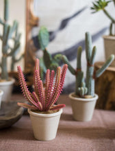 Load image into Gallery viewer, Artificial Cactus Little Stems Potting Tropical Desert Plant Pot Culture Window Decoration - BestVase