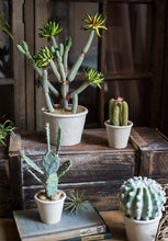 Load image into Gallery viewer, Artificial Cactus Little Stems Potting Tropical Desert Plant Pot Culture Window Decoration - BestVase