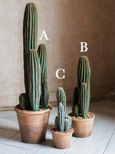 Load image into Gallery viewer, Artificial Cactus Rodlike Green Tree Stems Tropical Desert Plant Window Decoration - BestVase
