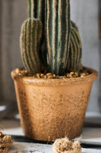 Load image into Gallery viewer, Artificial Cactus Rodlike Green Tree Stems Tropical Desert Plant Window Decoration - BestVase