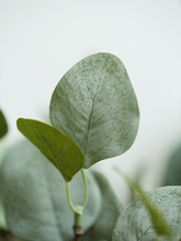 Load image into Gallery viewer, Eucalyptus Silk Flower Wedding Party Decor Home décor 3 Flowers "Gift" - BestVase