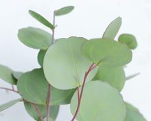 Load image into Gallery viewer, Eucalyptus Silk Flower Wedding Party Decor Home décor 3 Flowers "Gift" - BestVase