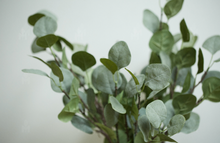Load image into Gallery viewer, Eucalyptus Silk Flower Wedding Party Decor Home décor 3 Flowers "Gift" - BestVase
