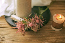 Load image into Gallery viewer, Asterism Silk Flower Artificial Flower Plants Branches Grass Photographic Props Home Decoration American Countryside Style - BestVase