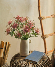 Load image into Gallery viewer, Asterism Silk Flower Artificial Flower Plants Branches Grass Photographic Props Home Decoration American Countryside Style - BestVase