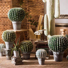 Load image into Gallery viewer, Artificial Cactus Global Elliptic Stems Tropical Desert Plant Window Decoration - BestVase