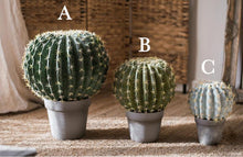 Load image into Gallery viewer, Artificial Cactus Global Elliptic Stems Tropical Desert Plant Window Decoration - BestVase