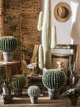 Load image into Gallery viewer, Artificial Cactus Global Elliptic Stems Tropical Desert Plant Window Decoration - BestVase