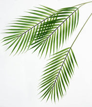 Load image into Gallery viewer, Greenery Monstera Leaf Banana Leaf Livistona Leaf Simulation Flower Artificial Plant - BestVase