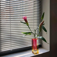 Load image into Gallery viewer, Modern Prism Acrylic Vase