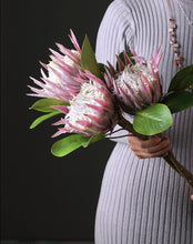 Load image into Gallery viewer, King Protea Protea Cynaroides National flower of South Africa - BestVase