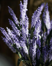 Load image into Gallery viewer, Lavender Lavandula Silk Simulation France Flower Wedding Holding Flowers - BestVase