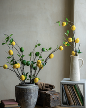 Load image into Gallery viewer, Lemon branch Lime Silk Flower ”Sentimental love“Immature Love"”Green Love - BestVase