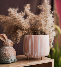 Load image into Gallery viewer, Mini Succulent Pots With Wooden Leg Cement Flower Vase Planter Cute Fleshy Art Cylindrical Simple Style Planter Garden Balcony Decoration - BestVase