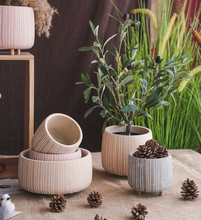 Load image into Gallery viewer, Mini Succulent Pots With Wooden Leg Cement Flower Vase Planter Cute Fleshy Art Cylindrical Simple Style Planter Garden Balcony Decoration - BestVase