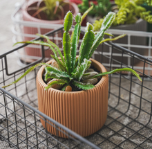 Load image into Gallery viewer, Morandi Color Flower Succulent Pots Colorful Mini Vase Cute Fleshy Art Cylindrical Simple Style Planter Garden Balcony Decoration - BestVase