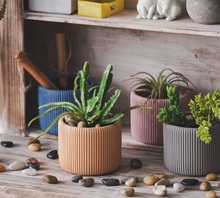 Load image into Gallery viewer, Morandi Color Flower Succulent Pots Colorful Mini Vase Cute Fleshy Art Cylindrical Simple Style Planter Garden Balcony Decoration - BestVase