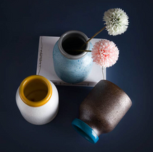 Load image into Gallery viewer, Planet Bottle Vase Colorful Glass Vase Special Difficult Techniques - BestVase