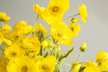 Load image into Gallery viewer, Poppy Flower,Remembrance Poppy Silk Flower Simulation Flower Artificial Flower for Wedding Party Decor - BestVase