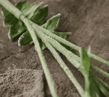 Load image into Gallery viewer, Silybum Simulation Silk Flower Marianum Cardus Marianus Mediterranean Blessed Milkthistle Marian Mary - BestVase