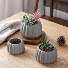 Load image into Gallery viewer, Succulent Plant Pots Squash Pumpkin Style Cute Mini Fleshy Flower Pots - BestVase