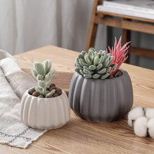 Load image into Gallery viewer, Succulent Plant Pots Squash Pumpkin Style Cute Mini Fleshy Flower Pots - BestVase