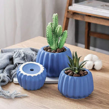 Load image into Gallery viewer, Succulent Plant Pots Squash Pumpkin Style Cute Mini Fleshy Flower Pots - BestVase