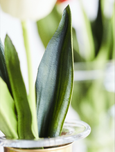 Load image into Gallery viewer, Didier's tulip Silk Flower Artificiing Flower National flowers of Netherlands - BestVase