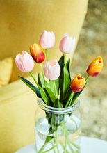 Load image into Gallery viewer, Didier's tulip Silk Flower Artificiing Flower National flowers of Netherlands - BestVase