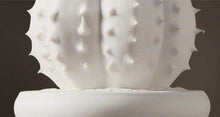 Load image into Gallery viewer, White Porcelain Cactus Collection