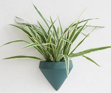 Load image into Gallery viewer, Zane Wall Planters