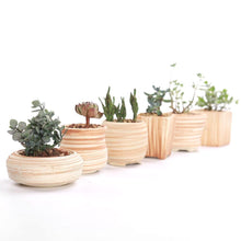 Load image into Gallery viewer, Wood Mirage Ceramic Planter Set 6 pc