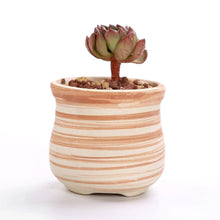 Load image into Gallery viewer, Wood Mirage Ceramic Planter Set 6 pc