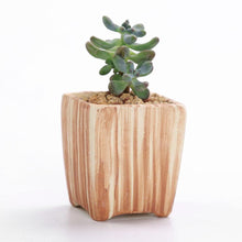 Load image into Gallery viewer, Wood Mirage Ceramic Planter Set 6 pc