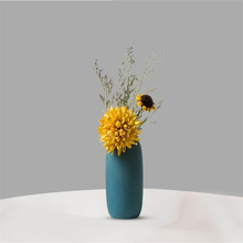 Load image into Gallery viewer, Color Rich Ceramic Vases