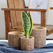 Load image into Gallery viewer, Natural Rattan Texture Cement Planter