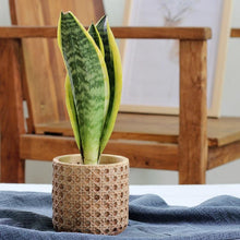 Load image into Gallery viewer, Natural Rattan Texture Cement Planter
