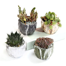 Load image into Gallery viewer, Marbling Ceramic Planter Set 4 pc