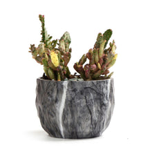 Load image into Gallery viewer, Marbling Ceramic Planter Set 4 pc