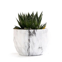 Load image into Gallery viewer, Marbling Ceramic Planter Set 4 pc
